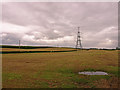 Harvested Fields near Kilmarnock