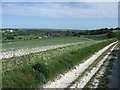 Looking towards Houghton and the Arun Valley