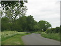 Road north of Hook Norton