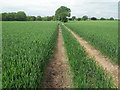 Public Footpath to Astle Farm