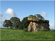 ST1072 : Burial Chamber, St Lythans by Chris Andrews