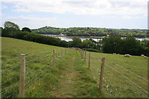 SX4157 : Public footpath above the River Lynher by Kate Jewell