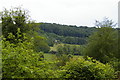 Sheepscombe valley, south side