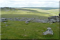 SX5476 : Roos Tor from Great Staple Tor by Graham Horn