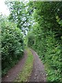 Northdown Road near Hallshot Wood (looking west)