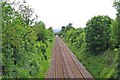 Railway at Rushwick