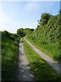 Byway near Tre-cefn-isaf Farm