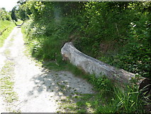 SO3383 : Carved tree trunk beside the path to Bury Ditches hillfort by Jeremy Bolwell