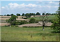 Farmland, Hardstoft Common