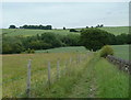 Footpath through fields near Parkhouse Farm