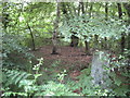 Harrow Weald Common: The Kiln Triangulation Pillar