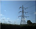 Dalscote Pylons