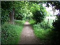 Footpath To Brocton