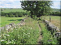 Footpath towards Blacker Farm near Skelmanthorpe