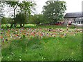 "Wooshy Spinny" - windmills at Wreay Primary School