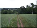 Footpath To Brocton