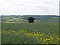 Northamptonshire Countryside