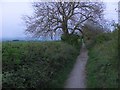 Green lane, Bleadon Hill