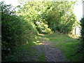 The Byway towards Strode