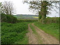 ST6762 : Byway near Stanton Prior by James Ayres