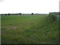 Looking towards Spittlemoor Plantation