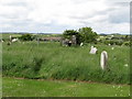 An overgrown section of the grounds of the St Patrick