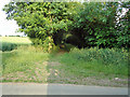 Entrance to tree lined footpath