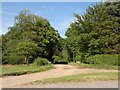 The approach to Hanningfields Farm