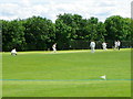 Village cricket, Coate