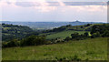 2011 : Mendip valley south of Croscombe