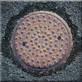 J4982 : Manhole cover, Bangor by Rossographer