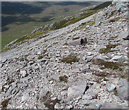 NC3454 : Crags above Strath Dionard by Tim Harrison