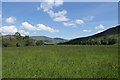 Glenesk grassland