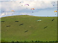 SU0764 : Paragliding near Allington by Maigheach-gheal