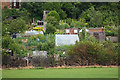 Allotments between Crouch End and Queen