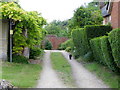 Footpath, All Cannings