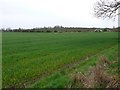 Countryside near Stamford Hall