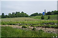 New plantation between Pendle Water and the M65