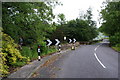 Cuckstool Lane by Montford Cottage