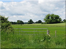 ST9611 : Gateway into field near Higher Farm, Long Crichel by Sarah Charlesworth
