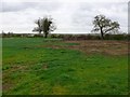 Fields near Darlingscott