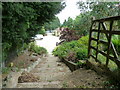 TQ0519 : Footpath steps climbing away from the A29 by Dave Spicer