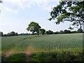 Footpath to Chapel Road  (U2123)