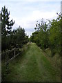 Footpath to Monewden