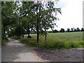 Hall Road & the footpath to Martins Lane