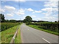 Manley Lane near Homebank Farm