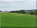 Farmland, Netherton