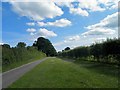 What a grass verge near Egbury