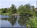 SJ9599 : Stamford Park Upper Lake by David Dixon