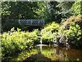 In the water garden at Novar House